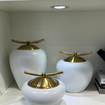 PHOTO-2024-01-29-23-25-07