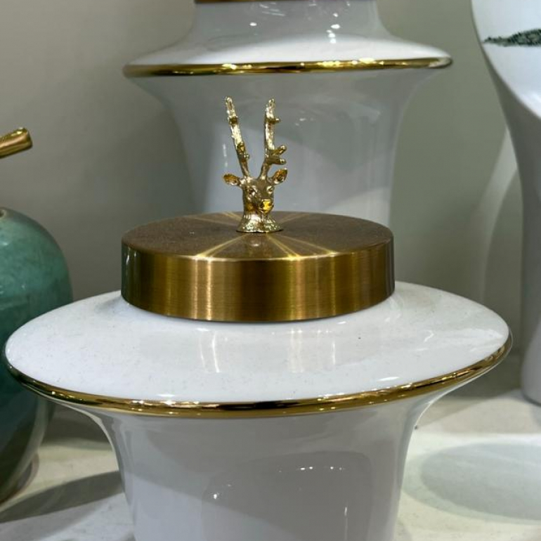 PHOTO-2024-01-29-23-25-39